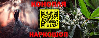 шишки Беслан