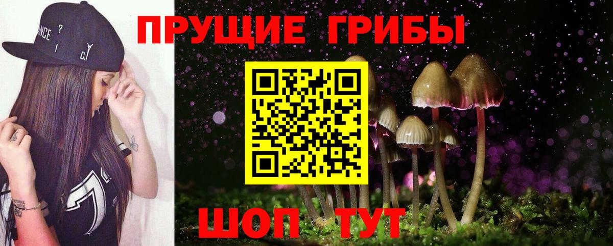 Киселёвск  Галлюциногенные грибы Magic Shrooms  Вход с VPN  Псилоцибиновые грибы мицелий 